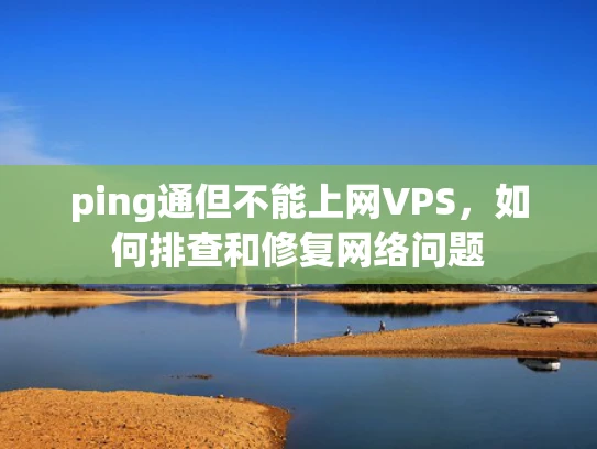ping通但不能上网VPS，如何排查和修复网络问题