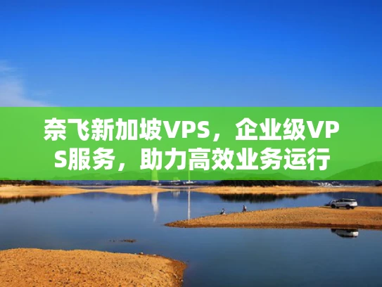 奈飞新加坡VPS，企业级VPS服务，助力高效业务运行