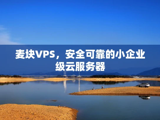 麦块VPS，安全可靠的小企业级云服务器