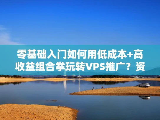 零基础入门如何用低成本+高收益组合拳玩转VPS推广？资深网安人揭秘3大实战套路