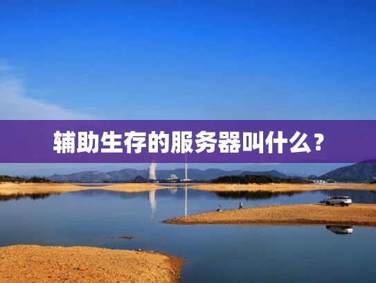 辅助生存的服务器叫什么？