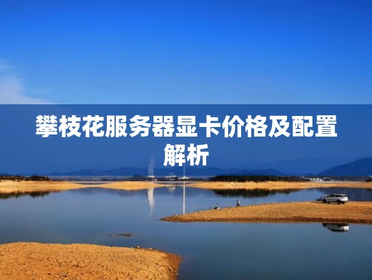 攀枝花服务器显卡价格及配置解析