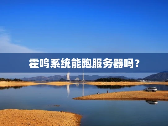 霍鸣系统能跑服务器吗？