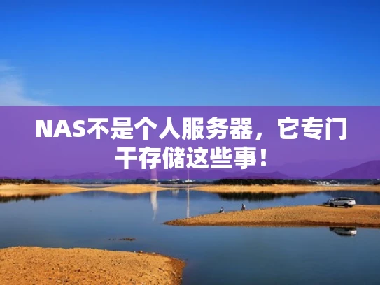 NAS不是个人服务器，它专门干存储这些事！