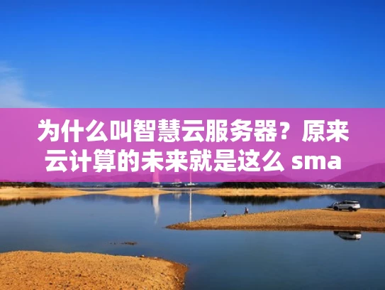 为什么叫智慧云服务器？原来云计算的未来就是这么 smart！