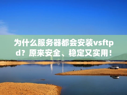 为什么服务器都会安装vsftpd？原来安全、稳定又实用！