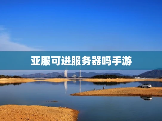 亚服可进服务器吗手游