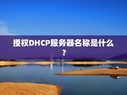 授权DHCP服务器名称是什么？