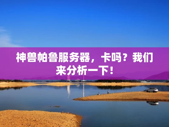 神兽帕鲁服务器，卡吗？我们来分析一下！
