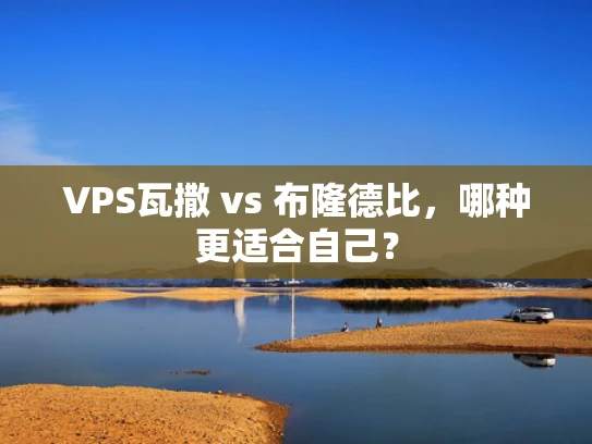 VPS瓦撒 vs 布隆德比，哪种更适合自己？