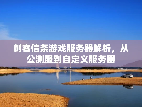 刺客信条游戏服务器解析，从公测服到自定义服务器