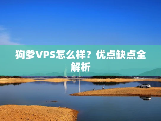 狗爹VPS怎么样？优点缺点全解析