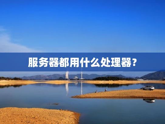 服务器都用什么处理器？