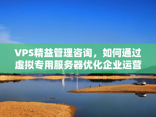 VPS精益管理咨询，如何通过虚拟专用服务器优化企业运营效率？