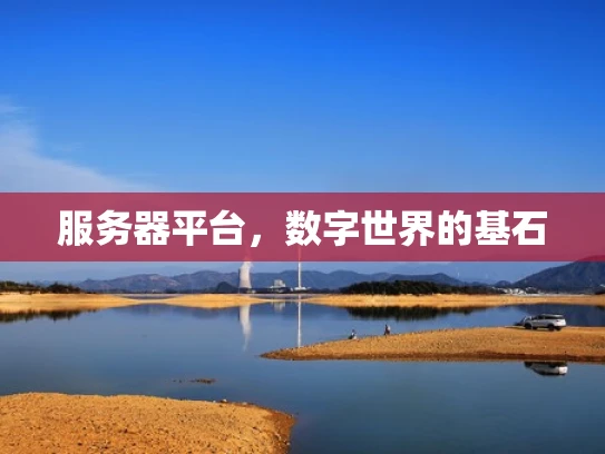 服务器平台，数字世界的基石