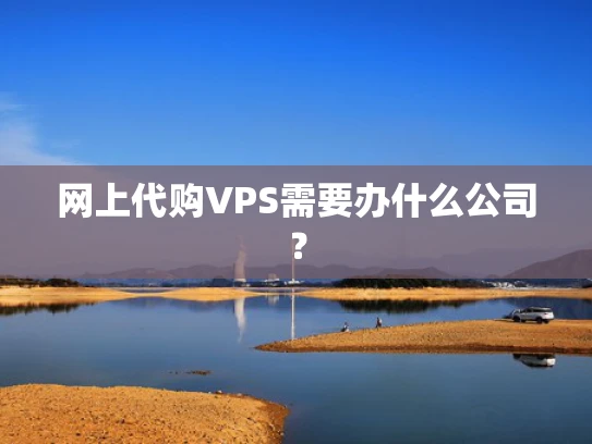 网上代购VPS需要办什么公司？