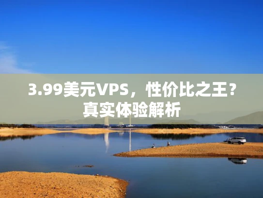 3.99美元VPS，性价比之王？真实体验解析