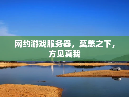 网约游戏服务器，莫恙之下，方见真我