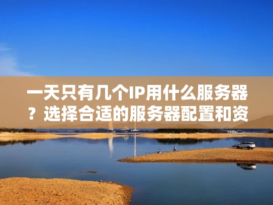 一天只有几个IP用什么服务器？选择合适的服务器配置和资源优化方法