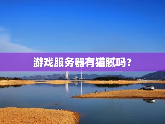 游戏服务器有猫腻吗？