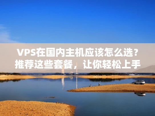 VPS在国内主机应该怎么选？推荐这些套餐，让你轻松上手！