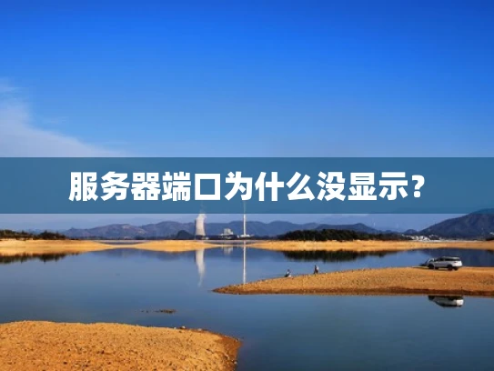 服务器端口为什么没显示？