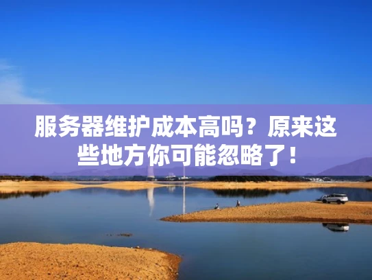 服务器维护成本高吗？原来这些地方你可能忽略了！