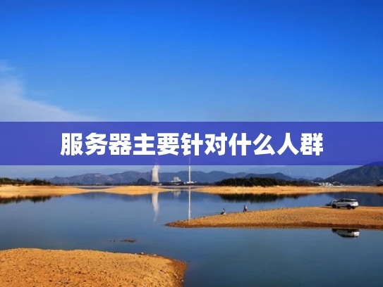服务器主要针对什么人群