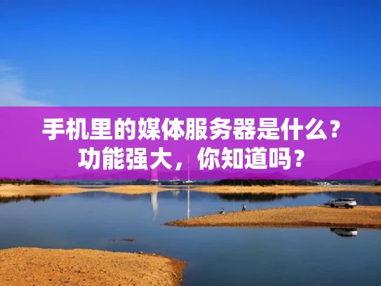 手机里的媒体服务器是什么？功能强大，你知道吗？
