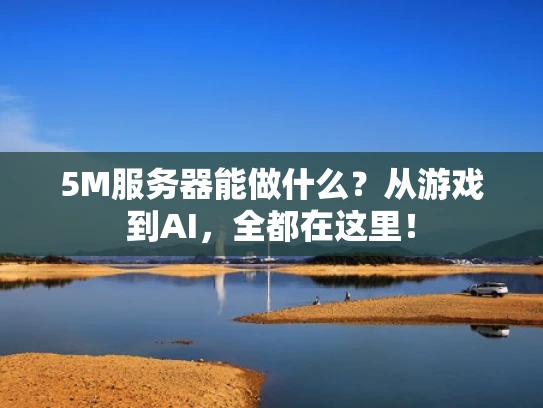 5M服务器能做什么？从游戏到AI，全都在这里！