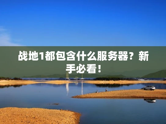 战地1都包含什么服务器？新手必看！