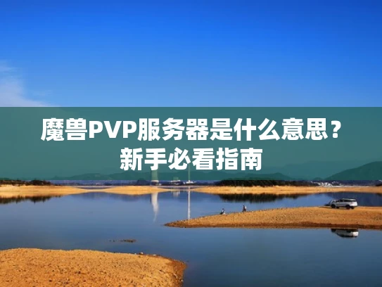 魔兽PVP服务器是什么意思？新手必看指南