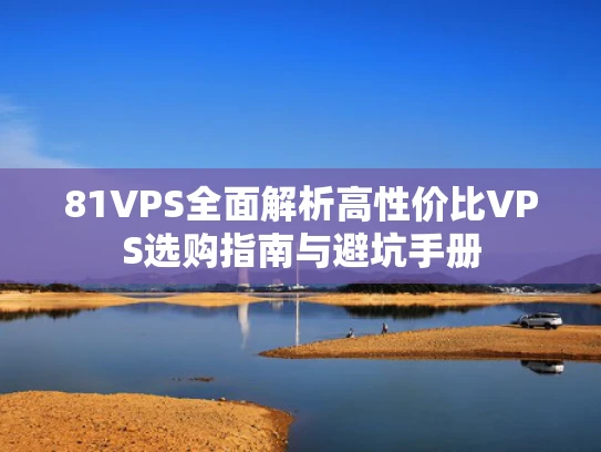81VPS全面解析高性价比VPS选购指南与避坑手册