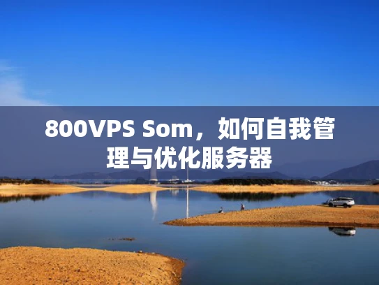 800VPS Som，如何自我管理与优化服务器