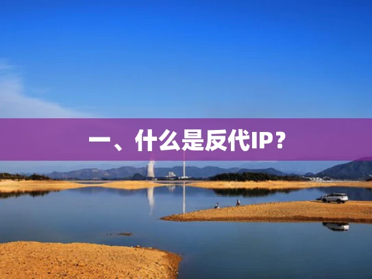 一、什么是反代IP？