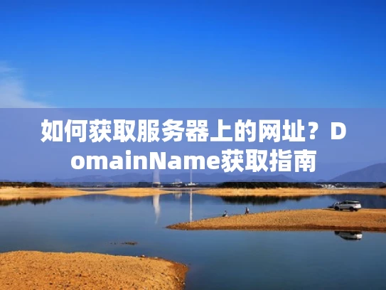 如何获取服务器上的网址？DomainName获取指南