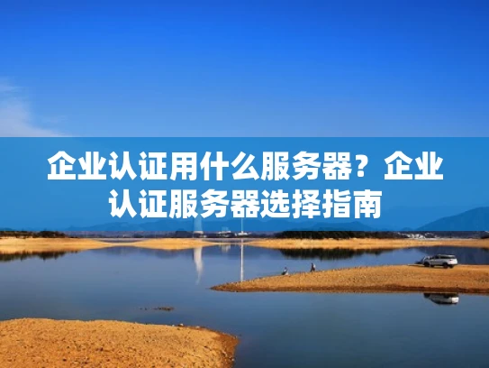 企业认证用什么服务器？企业认证服务器选择指南