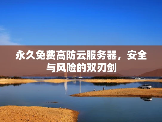 永久免费高防云服务器，安全与风险的双刃剑