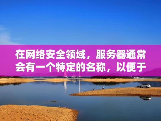 在网络安全领域，服务器通常会有一个特定的名称，以便于管理和识别。然而，扁桃这个名称并不常见，可能是打字错误或者特定于某个内部系统。以下是一些常见的服务器名称类型，供参考