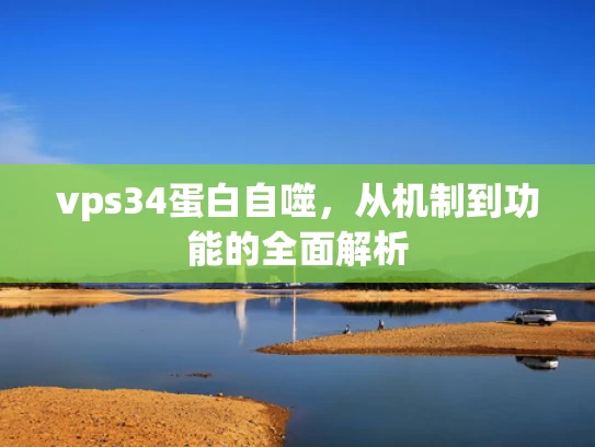 vps34蛋白自噬，从机制到功能的全面解析