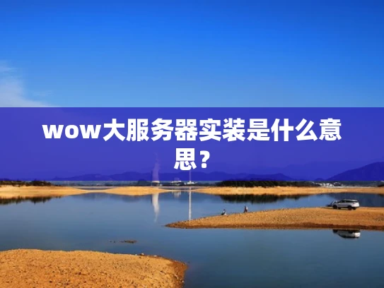 wow大服务器实装是什么意思？