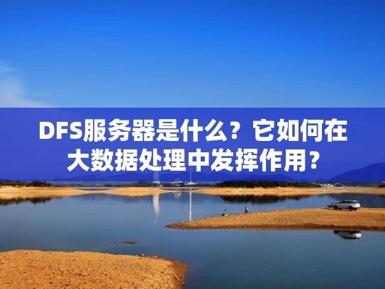 DFS服务器是什么？它如何在大数据处理中发挥作用？