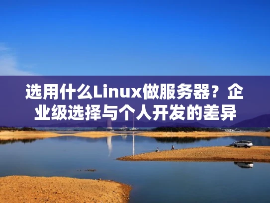 选用什么Linux做服务器？企业级选择与个人开发的差异