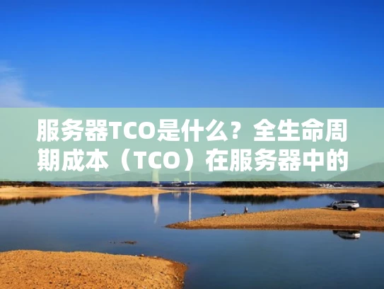 服务器TCO是什么？全生命周期成本（TCO）在服务器中的应用