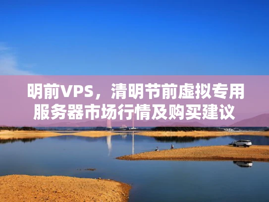 明前VPS，清明节前虚拟专用服务器市场行情及购买建议