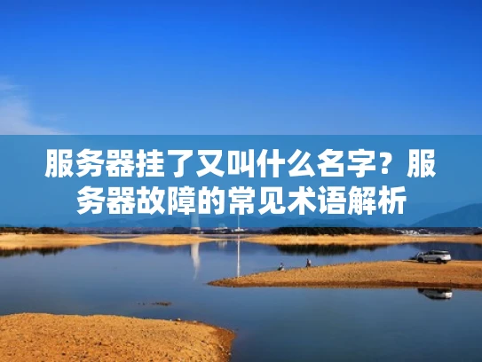 服务器挂了又叫什么名字？服务器故障的常见术语解析