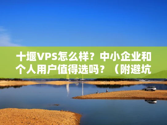 十堰VPS怎么样？中小企业和个人用户值得选吗？（附避坑指南）