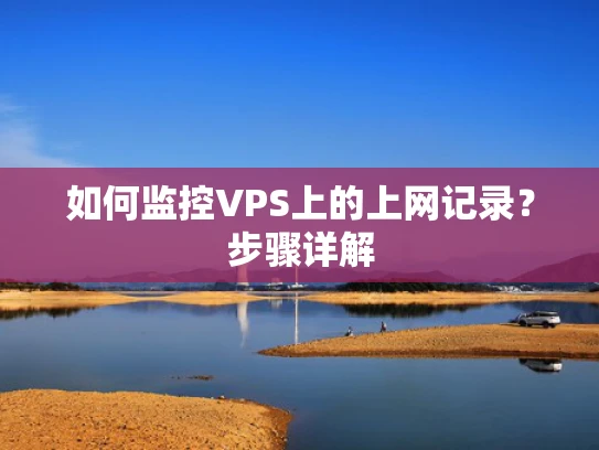 如何监控VPS上的上网记录？步骤详解