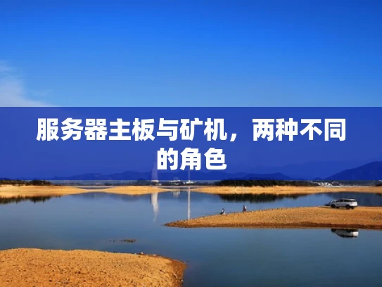 服务器主板与矿机，两种不同的角色