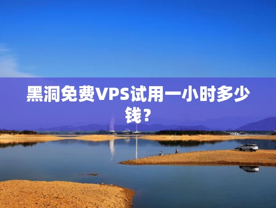 黑洞免费VPS试用一小时多少钱？